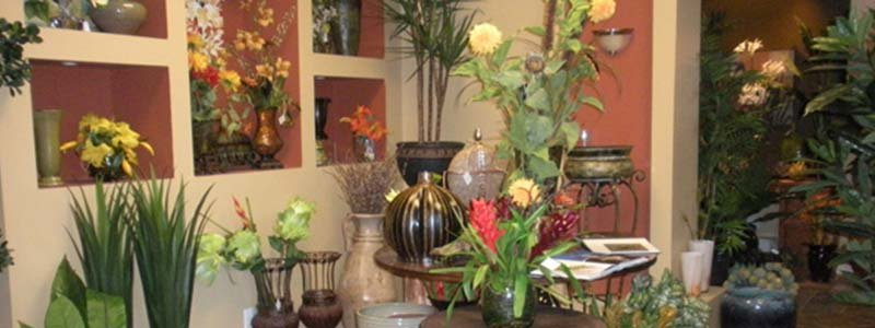 Como abrir uma floricultura: 6 etapas para seu planejamento + dicas